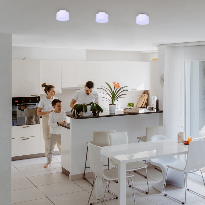 Rabalux - LED laevalgusti LED/24W/230V 3000K valge läb. 14 cm