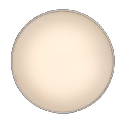 Rabalux - LED laevalgusti LED/24W/230V 3000K valge läb. 14 cm