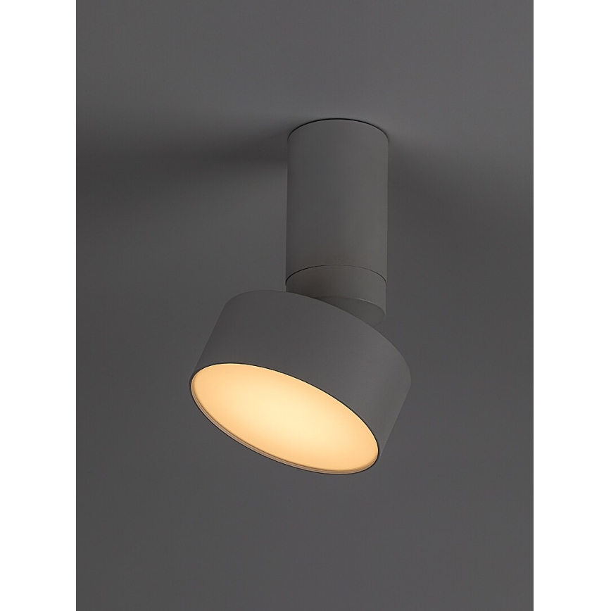 Rabalux - LED Laevalgusti LED/10W/230V 3000K valge