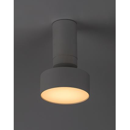 Rabalux - LED Laevalgusti LED/10W/230V 3000K valge
