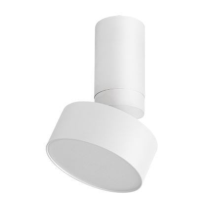 Rabalux - LED Laevalgusti LED/10W/230V 3000K valge