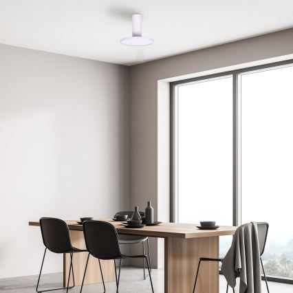 Rabalux - LED laelamp LED/20W/230V 3000K valge läbimõõt 20 cm