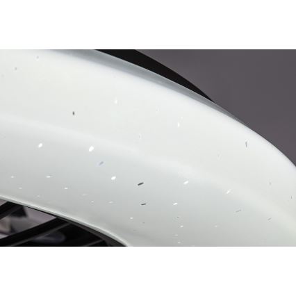 Rabalux - LED Hämardatav laeventilaator valgustiga LED/48W/230V 3000-6500K + kaugjuhtimispult