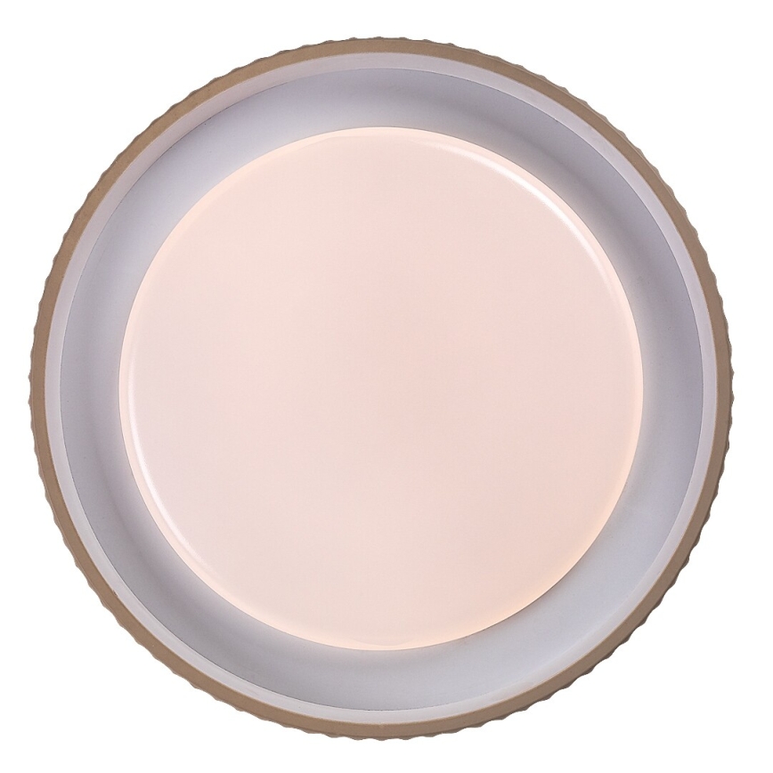 Rabalux - hämardatav LED-laevalgusti LED/48W/230V 3000–6500 K, läbimõõt 49,5 cm, koos kaugjuhtimispuldiga