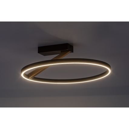 Rabalux - LED-laevalgusti LED/24W/230V 3000K, läbimõõt 45 cm