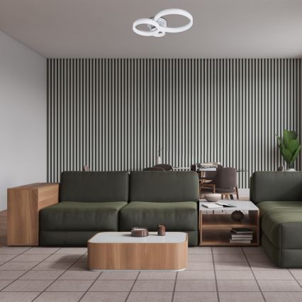 Rabalux - LED laelamp LED/24W/230V 3000/4000/6500K 38x51 cm matistatud kroom