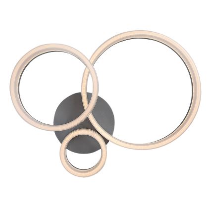 Rabalux - LED laelamp LED/24W/230V 3000/4000/6500K 38x51 cm matistatud kroom