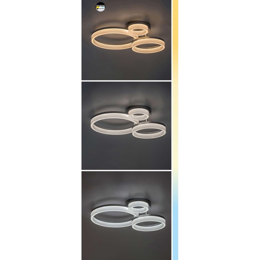 Rabalux - LED laelamp LED/24W/230V 3000/4000/6500K 38x51 cm matistatud kroom