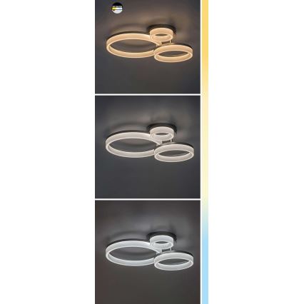 Rabalux - LED laevalgusti LED/24W/230V 3000/4000/6500K 38x51 cm mattkroom