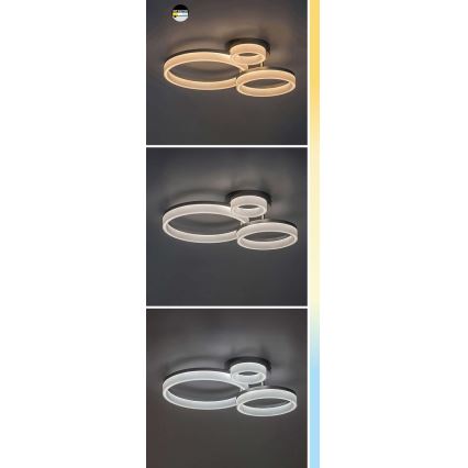 Rabalux - LED Laevalgusti LED/24W/230V 3000/4000/6500K must