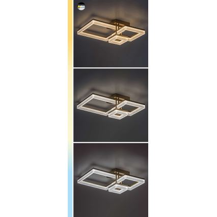 Rabalux - LED Laevalgusti LED/22W/230V 3000/4000/6500K matt kroom