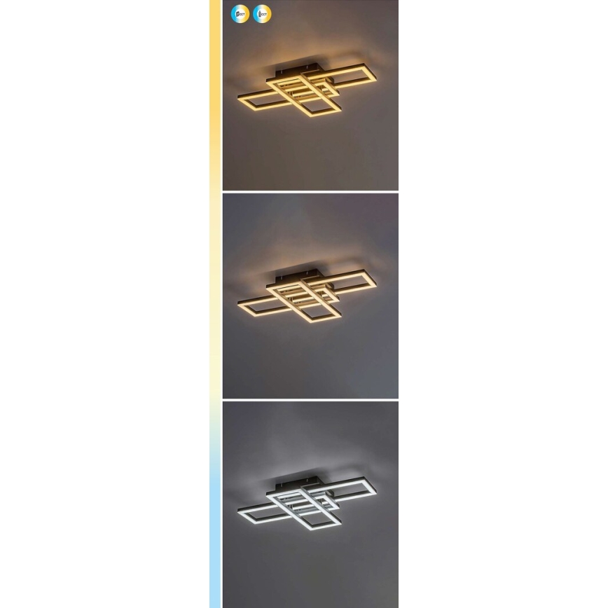 Rabalux - hämardatav LED-laelamp LED/40W/230V 3000-6500K + kaugjuhtimispult 35x50 cm