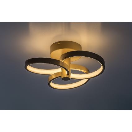 Rabalux - LED-hämardatav laevalgusti LED/32W/230V 3000-6500K läbimõõt 31 cm beež + kaugjuhtimispult