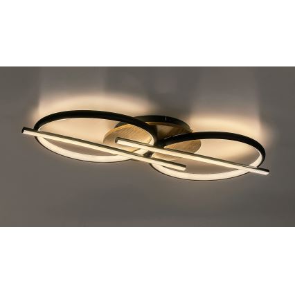 Rabalux - LED Laevalgusti LED/40W/230V 3000/4000/6500K