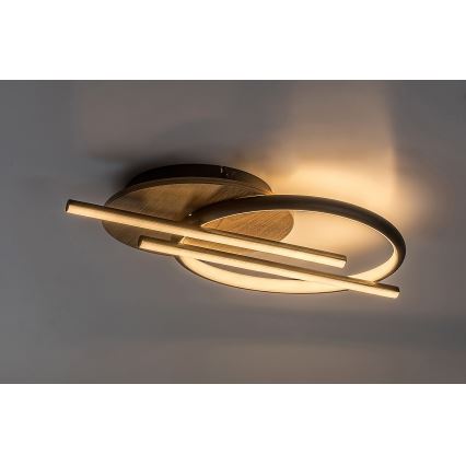 Rabalux - LED Laevalgusti LED/40W/230V 3000/4000/6500K