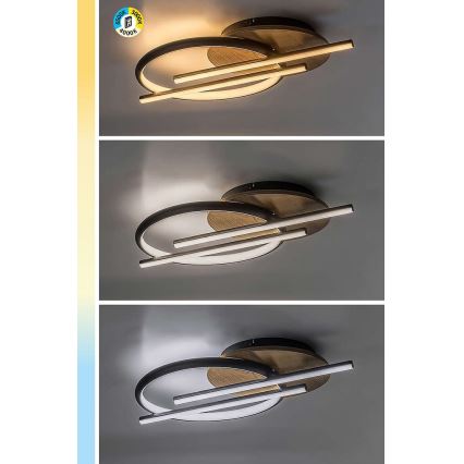 Rabalux - LED Laevalgusti LED/40W/230V 3000/4000/6500K