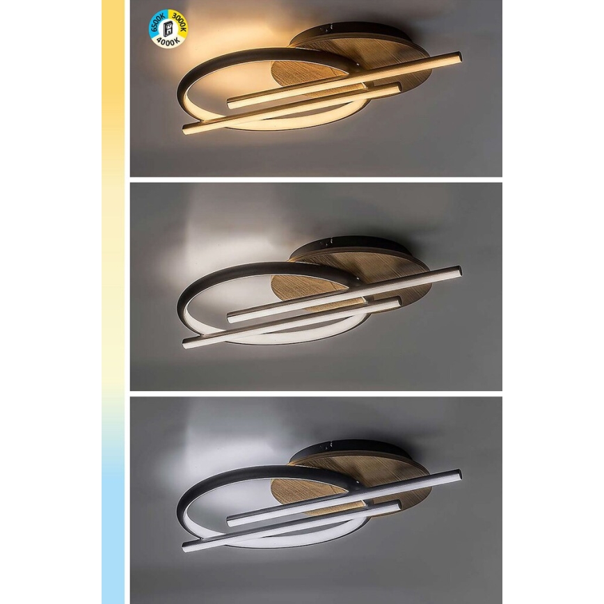 Rabalux - LED Laevalgusti LED/40W/230V 3000/4000/6500K