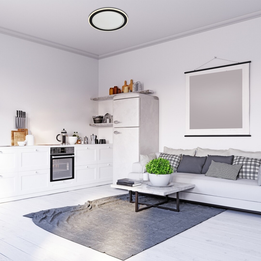 Rabalux - LED RGB hämardatav laelamp LED/22W/230V 3000-6500K Ø 45 cm + kaugjuhtimispult