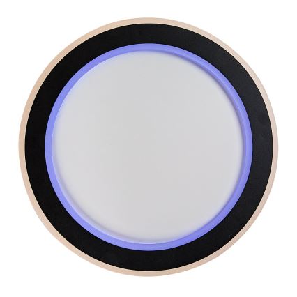 Rabalux - LED RGB hämardatav laelamp LED/22W/230V 3000-6500K Ø 45 cm + kaugjuhtimispult