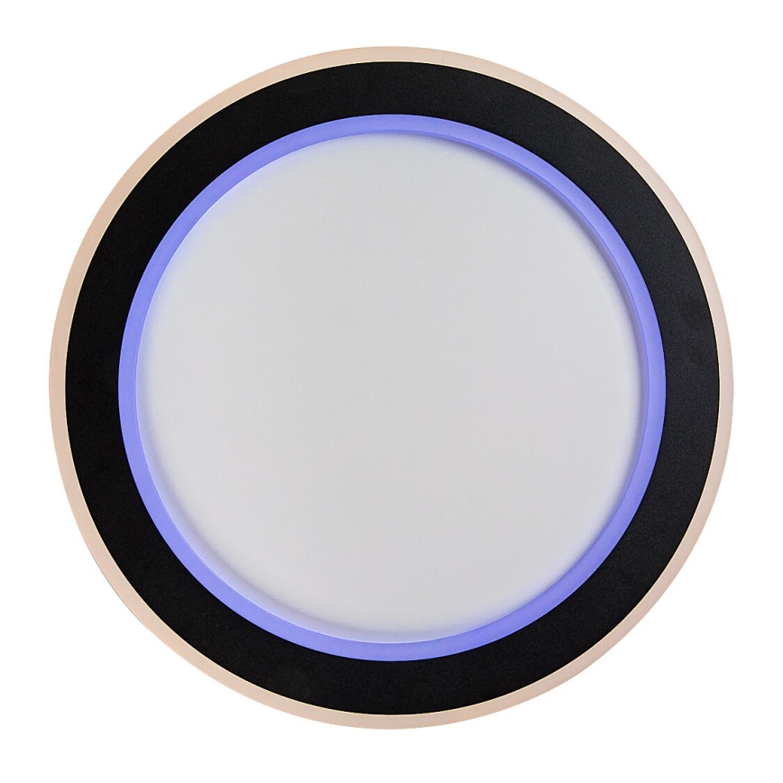 Rabalux - LED RGB hämardatav laelamp LED/22W/230V 3000-6500K Ø 45 cm + kaugjuhtimispult