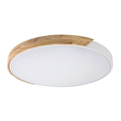 Rabalux - LED laelamp LED/40W/230V 3000/4000/6500K valge/tamm läbimõõt 61 cm