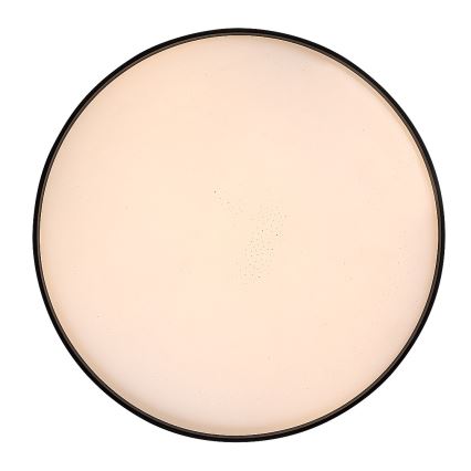 Rabalux - hämardatav LED-laelamp LED/80W/230V 3000-6500K Ø 77 cm + kaugjuhtimispult