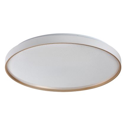 Rabalux - LED hämardatav laelamp LED/60W/230V 3000-6500K läbimõõt 58 cm + kaugjuhtimispult