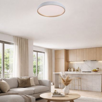 Rabalux - LED hämardatav laelamp LED/80W/230V 3000-6500K läbimõõt 77 cm + kaugjuhtimispult