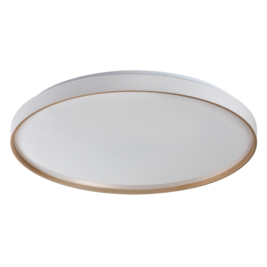 Rabalux - LED hämardatav laelamp LED/80W/230V 3000-6500K läbimõõt 77 cm + kaugjuhtimispult