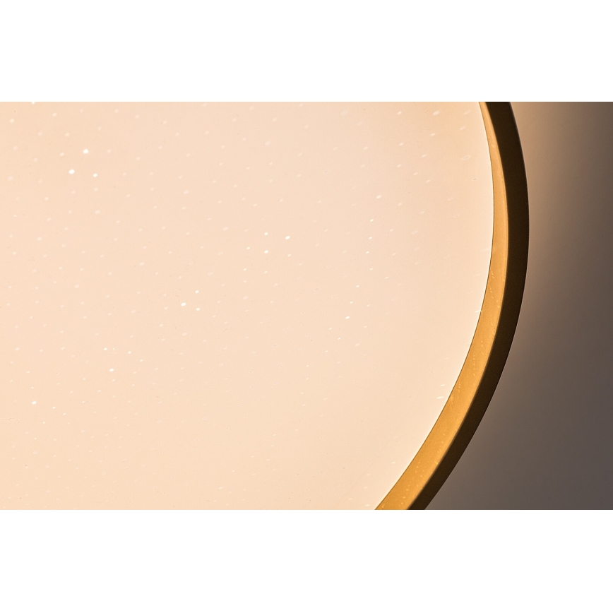 Rabalux - LED hämardatav laelamp LED/80W/230V 3000-6500K läbimõõt 77 cm + kaugjuhtimispult