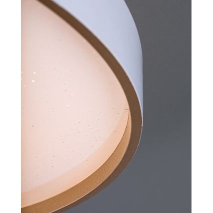 Rabalux - LED hämardatav laelamp LED/80W/230V 3000-6500K läbimõõt 77 cm + kaugjuhtimispult