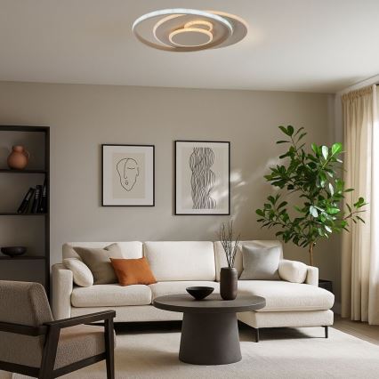 Rabalux - LED hämardatav laelamp LED/57W/230V 3000-6000K 48,5x40 cm + kaugjuhtimispult