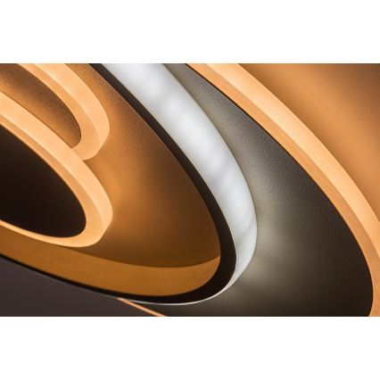 Rabalux - LED hämardatav laelamp LED/57W/230V 3000-6000K 48,5x40 cm + kaugjuhtimispult