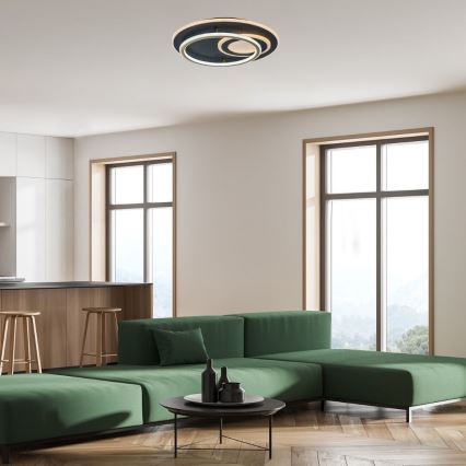 Rabalux - hämardatav LED-laelamp LED/60W/230V 3000-6000K läbimõõt 50 cm + kaugjuhtimispult