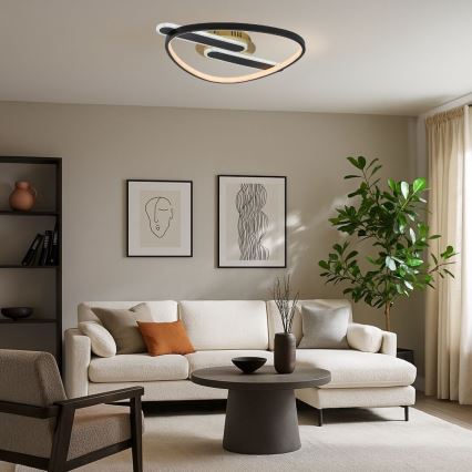 Rabalux - LED Hämardatav laelamp LED/60W/230V 3000-6000K 53x45 cm + kaugjuhtimispult