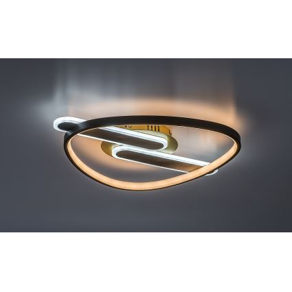 Rabalux - LED Hämardatav laelamp LED/60W/230V 3000-6000K 53x45 cm + kaugjuhtimispult