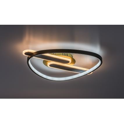 Rabalux - LED Hämardatav laelamp LED/60W/230V 3000-6000K 53x45 cm + kaugjuhtimispult