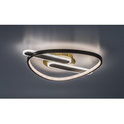 Rabalux - LED Hämardatav laelamp LED/60W/230V 3000-6000K 53x45 cm + kaugjuhtimispult