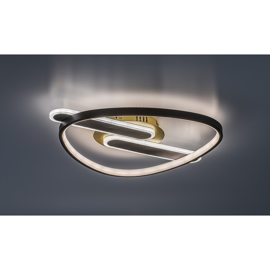 Rabalux - LED Hämardatav laelamp LED/60W/230V 3000-6000K 53x45 cm + kaugjuhtimispult