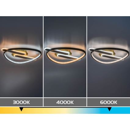 Rabalux - LED Hämardatav laelamp LED/60W/230V 3000-6000K 53x45 cm + kaugjuhtimispult