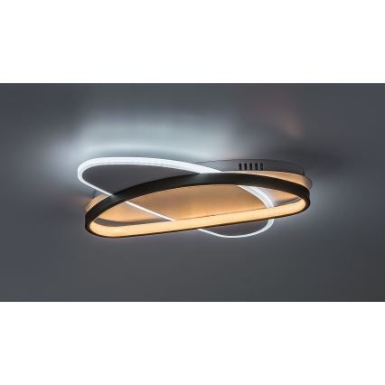 Rabalux - hämardatav LED-laelamp LED/57W/230V 3000-6000K 45x30,5 cm + kaugjuhtimispult