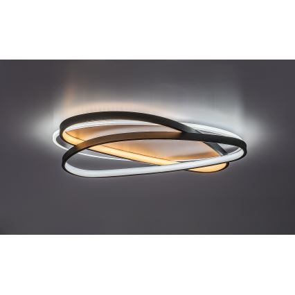 Rabalux - hämardatav LED-laelamp LED/57W/230V 3000-6000K 53x38 cm + kaugjuhtimispult