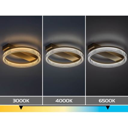 Rabalux - Hämardatav LED-laelamp LED/18W/230V 3000-6500K 37x33 cm + kaugjuhtimispult