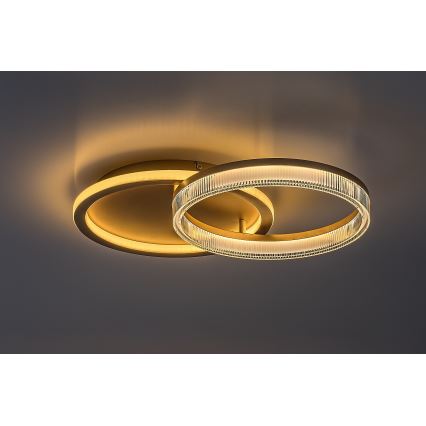 Rabalux - hämardatav LED-laelamp LED/22W/230V 3000-6500K 53,5x35 cm + kaugjuhtimispult