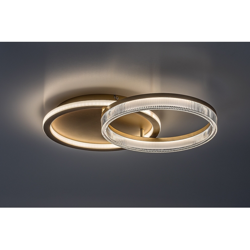 Rabalux - hämardatav LED-laelamp LED/22W/230V 3000-6500K 53,5x35 cm + kaugjuhtimispult