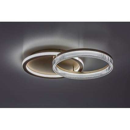 Rabalux - hämardatav LED-laelamp LED/22W/230V 3000-6500K 53,5x35 cm + kaugjuhtimispult