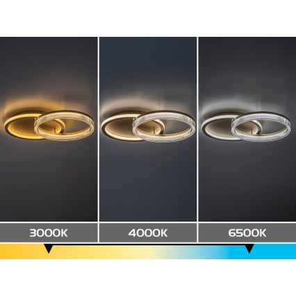 Rabalux - hämardatav LED-laelamp LED/22W/230V 3000-6500K 53,5x35 cm + kaugjuhtimispult