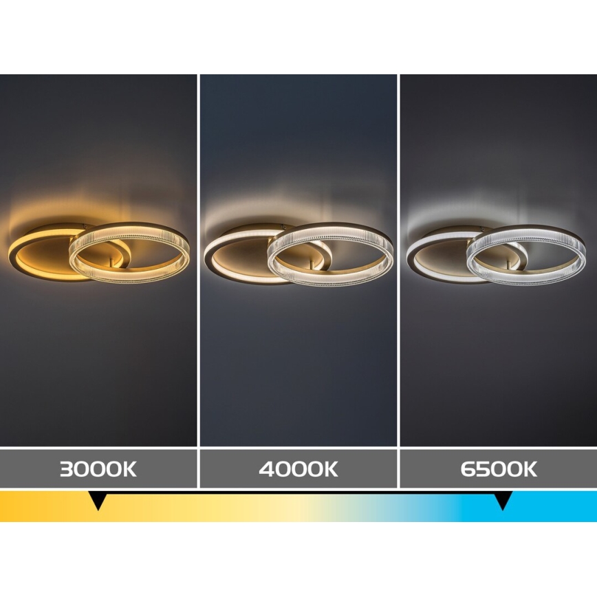 Rabalux - hämardatav LED-laelamp LED/22W/230V 3000-6500K 53,5x35 cm + kaugjuhtimispult