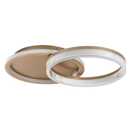 Rabalux - hämardatav LED-laelamp LED/22W/230V 3000-6500K 53,5x35 cm + kaugjuhtimispult