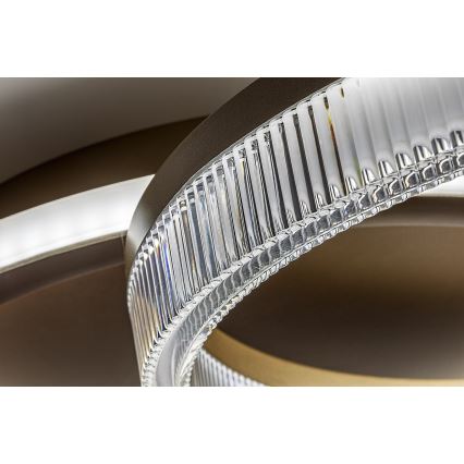 Rabalux - hämardatav LED-laelamp LED/22W/230V 3000-6500K 53,5x35 cm + kaugjuhtimispult